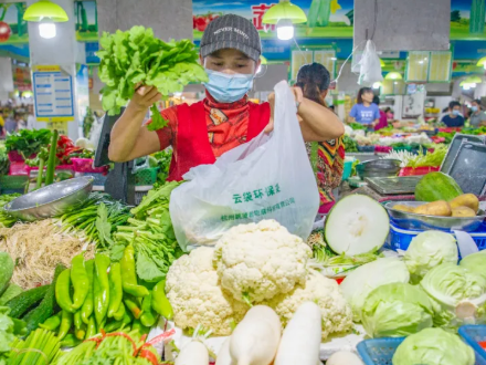 塑戰(zhàn)速?zèng)Q | 海口主城區(qū)全面普及使用可降解袋