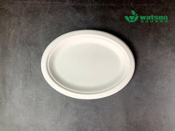 10寸甘蔗橢圓盤(pán)